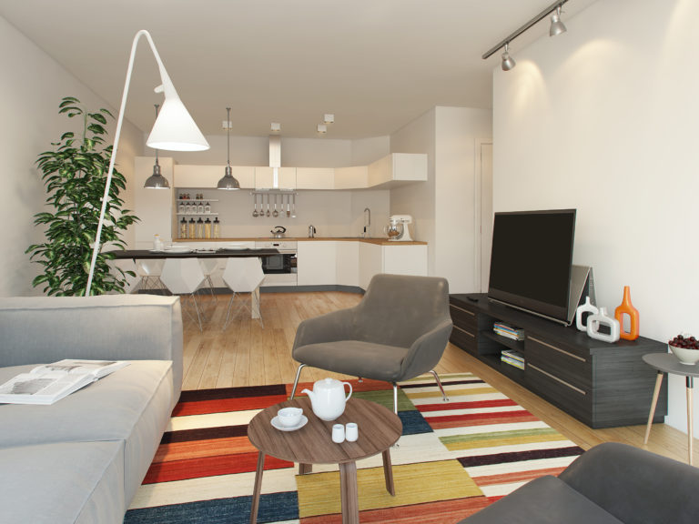 en stue med en sofa, tv og et teppe.