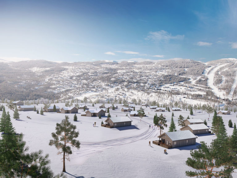 et luftfoto av en snødekket landsby.