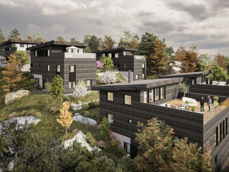 en 3d-gjengivelse av et hus i en åsside.